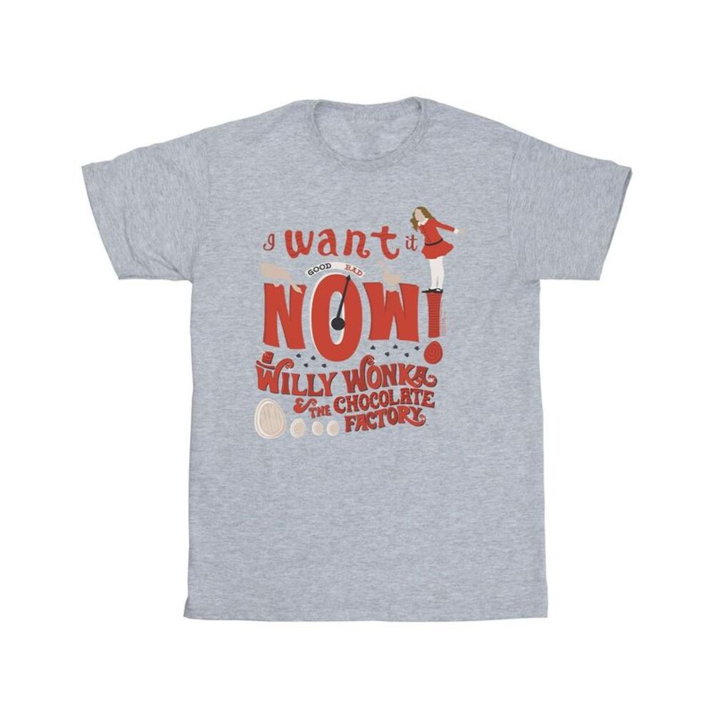 Willy Wonka Boys Verruca Salt I Want It Now T-Shirt / Sports Grey